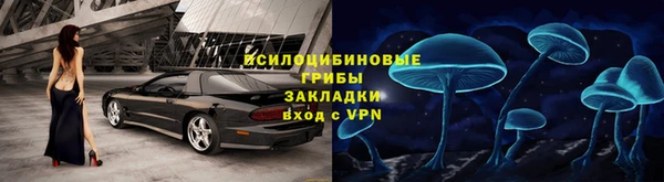 каннабис Алзамай