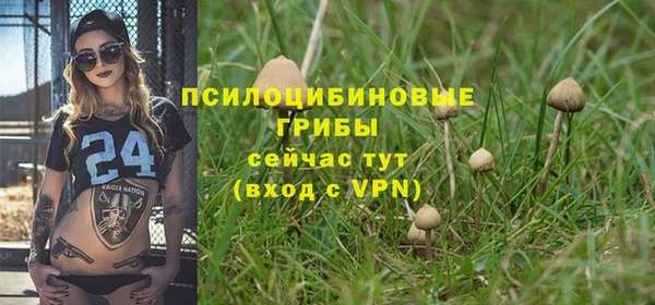 ГАЛЛЮЦИНОГЕННЫЕ ГРИБЫ Алексин
