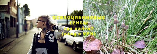 стафф Алексеевка