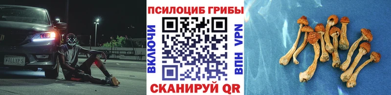 darknet какой сайт  Нурлат  Галлюциногенные грибы мухоморы  где продают  